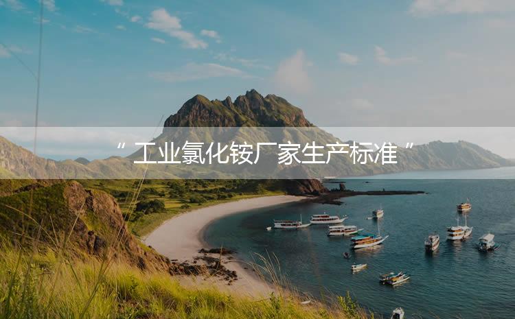 工業(yè)氯化銨廠家生產(chǎn)標(biāo)準(zhǔn)，生產(chǎn)過程進(jìn)行嚴(yán)密的監(jiān)控！